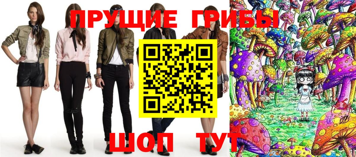 Строитель  как найти закладки  Вход с VPN  Галлюциногенные грибы Psilocybe 
